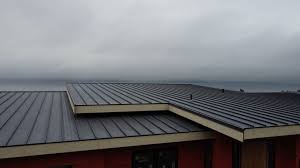 Best Roof Leak Repair  in Alanes Ridge, CA